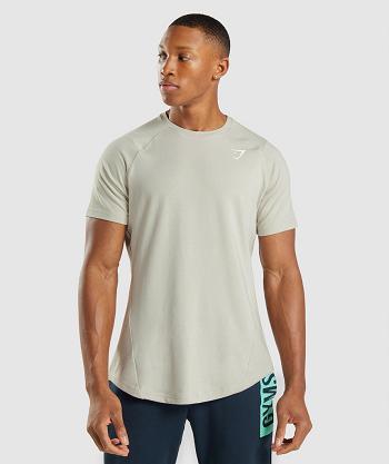 T Shirts Męskie Gymshark Bold Szare | PL 3900FDN